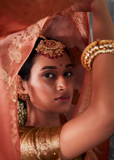 Apricot Orange ZARI WOVEN ORGANZA SILK SAREE WITH SWAROVSKI WORK