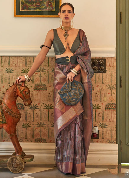 Brown Color Kalki Koechlin Designer Traditional Saree