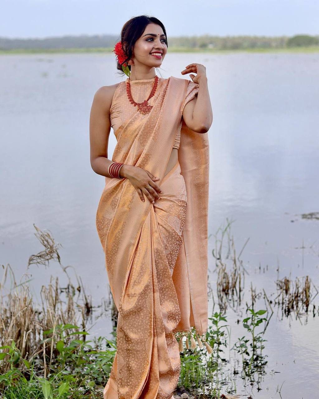 LIGHT PEACH SAREE WITH HEAVY BROCADE BLOUSE