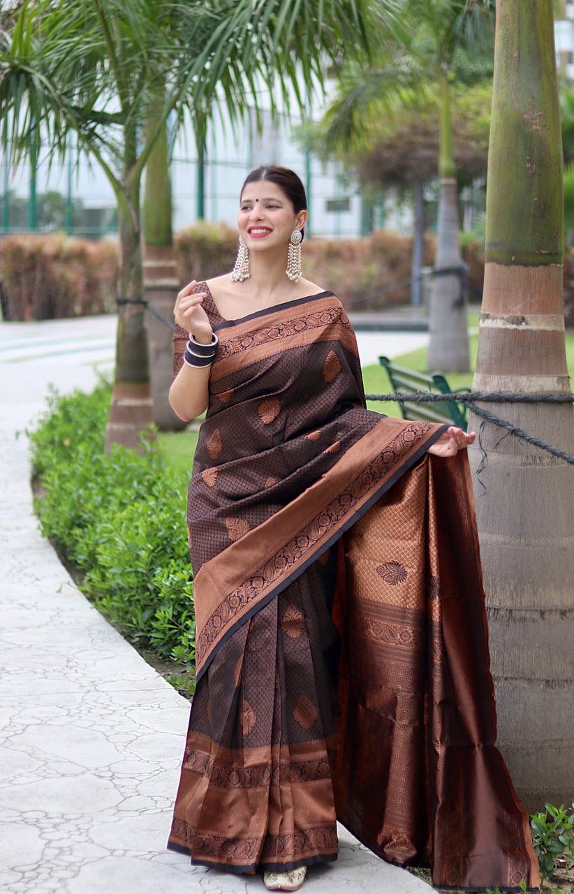 BLACK  BANARASI SILK SAREE WITH HEAVY BROCADE BLOUSE