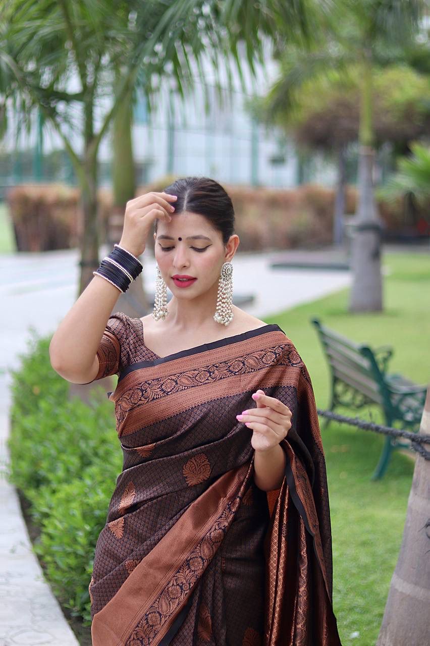 BLACK  BANARASI SILK SAREE WITH HEAVY BROCADE BLOUSE