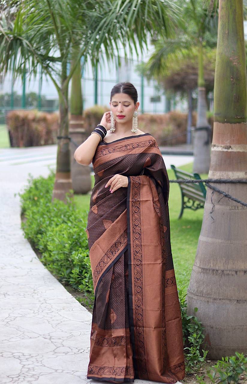 BLACK  BANARASI SILK SAREE WITH HEAVY BROCADE BLOUSE