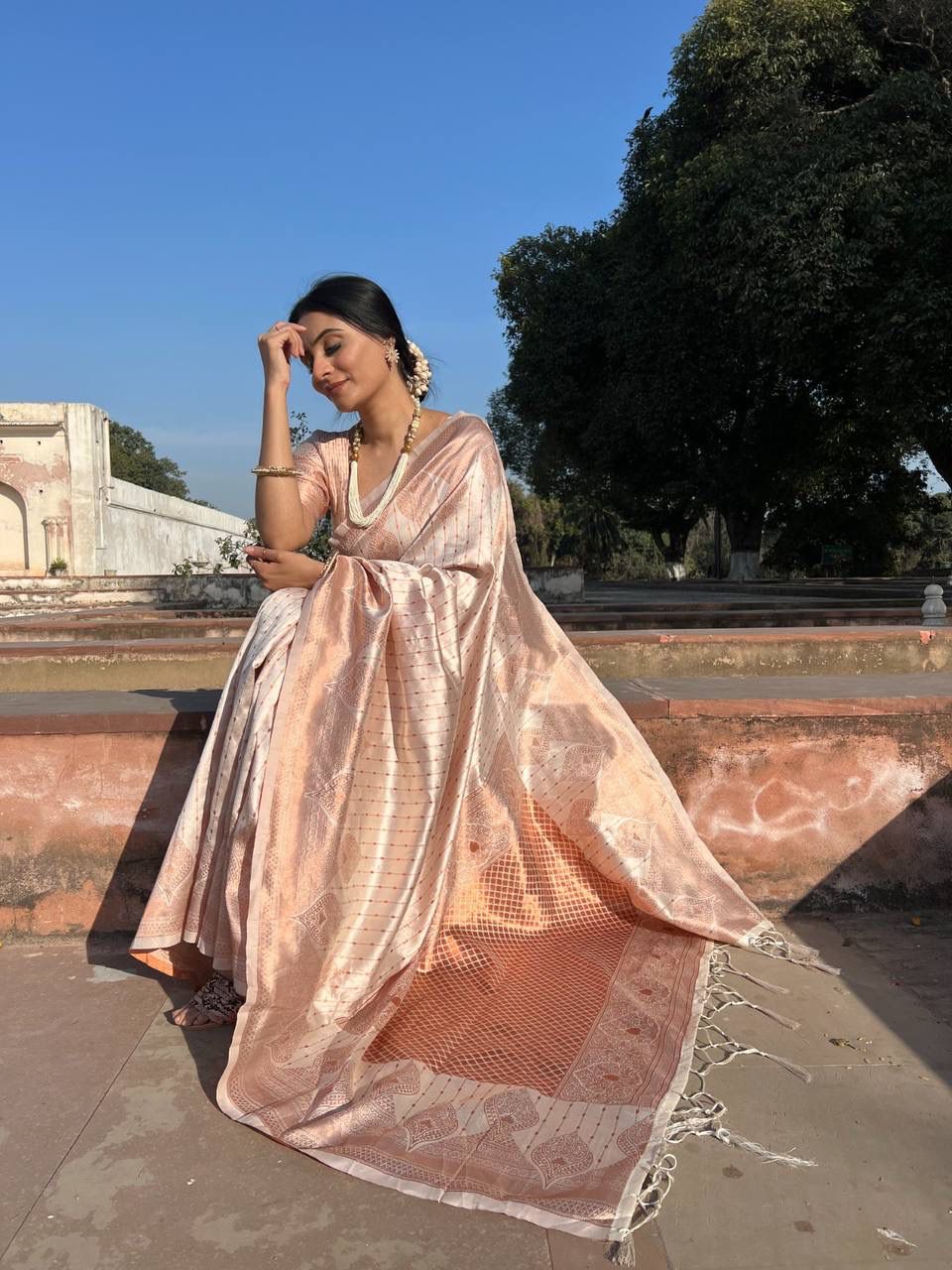 Stunning CREAM  BANARASI SILK SAREE WITH HEAVY BROCADE BLOUSE