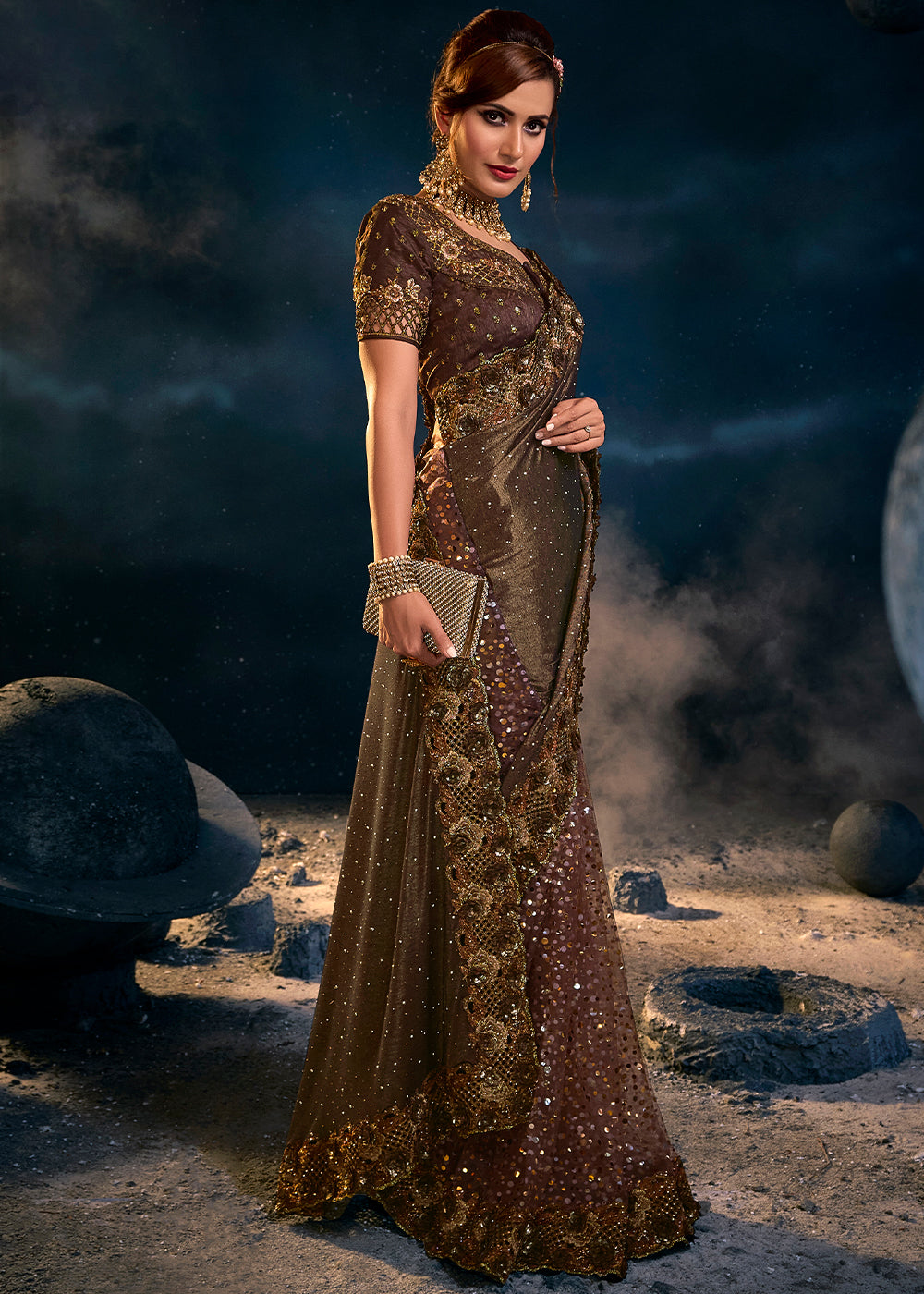 Sophisticated Brown Net Embroidered Saree with Intricate Detailing